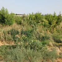 باغچه-زمین-500متری-سندتکبرگ-سهیلیه-کردان