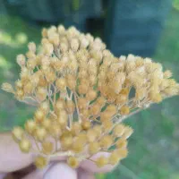 شراکت در شروع کار