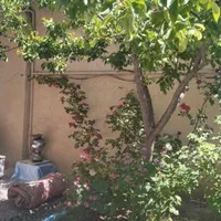 ویلایی ۲۰۰متری . معاوضه با گلبهار|فروش خانه و ویلا|مشهد, درابد امام|دیوار