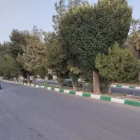 ۲۳۴ متر زمین / مناسب برای ساخت ویلا زعفرانیه/کردان|فروش زمین و ملک کلنگی|کرج, دهقان ویلا|دیوار