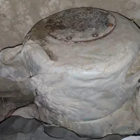 اتصالات کشاورزی