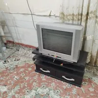 تلوزیون