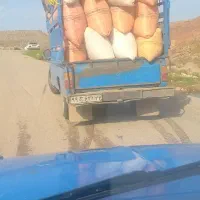 کاه برای فروش