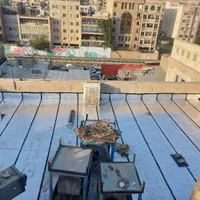 ایزوگام قیرگونی آسفالت حتی یک متر|خدمات پیشه و مهارت|تهران, شهرک ولیعصر شمالی|دیوار