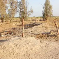 زمین کشاورزی|اجارهٔ دفتر صنعتی، کشاورزی، تجاری|بزمان, |دیوار