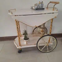 میزبارسفید نونو کاملا سالم