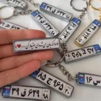 جاسوییچی های پلاک خودرو