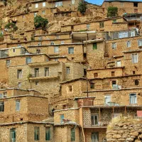 مالم گرک بو اجاره