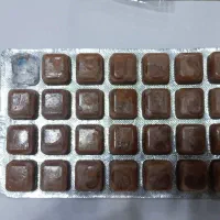 انواع غذاهای ماهی گیاهخوار و گوشتخوار|ماهی|اهواز, فاز ۲ پادادشهر|دیوار