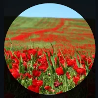 کمپ دو روزه دشت لار، آبشار سفید آب و چشمه دو برار