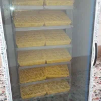 دستگاه جوجه کشی تمام اتوماتیک|لوازم جانبی حیوانات|اهواز, شهرک شهید عباس پور|دیوار