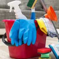 نیروی کارخانم