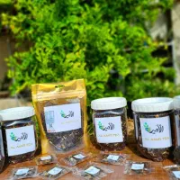چای مراکشی الامیر طعم اصیل مراکشی + ارسال سریع