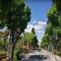 شاهراه-وحیدیه-تسلیحات-زرکش-م-لک-با-تجاری