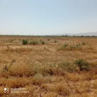 زمین باغی و زراعی مینو دشت اشراق