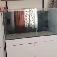 آکواریوم نو