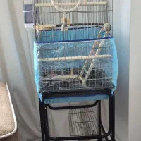 قفس پرنده با پایه