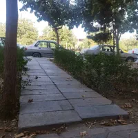 استخدام راننده جمع آوری برای دفترپیشخوان