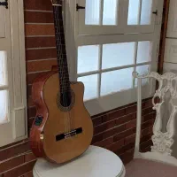 گیتار کاتوی پیکاپ دار
