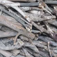 هیزم وچوب خشک درختی جهت سوزاندن