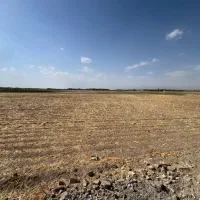 زمین مزروعی ۹ هکتار سند ملک|فروش زمین و ملک کلنگی|مشهد, لقمانی|دیوار