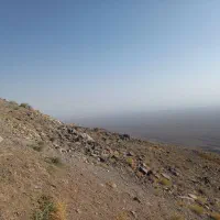 راهنمایی میکنم