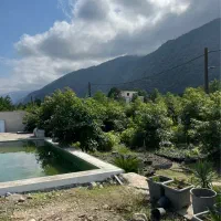 سرایدار