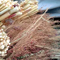 فروش جارو گال. عمده و خرده|لوازم نظافت|روانسر, |دیوار