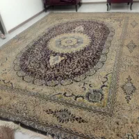 فرش ۱۲ متری|فرش|رشت, آزادگان|دیوار