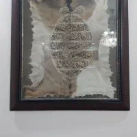تابلو پوست درحد نو ۳ملیون تومان