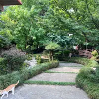 استخدام سرایدار