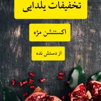 اکستنشن مژه ویژه یلدا