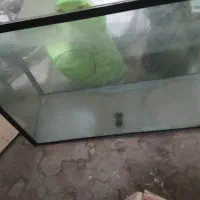 شیشه آکواریوم