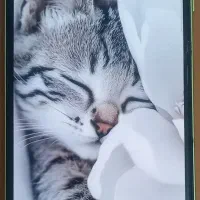 گوشی سامسونگ A25|موبایل|مشهد, مشکینی (شهرک غرب)|دیوار