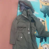 پالتو آستردار