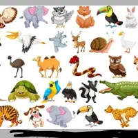 سگ پیدا شده