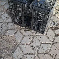 سبد گوجه  سبد|فروشگاه و مغازه|نیشابور, فردوسی جنوبی|دیوار