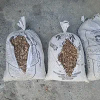 پیاز زعفران  عمده و خرده