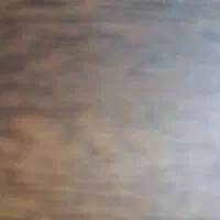 خانه دار هتل