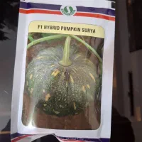 بذر کدو حلوایی