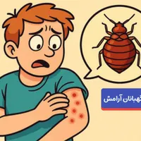 از بین بردن تضمینی  ساس، کنه،  سوسک|خدمات نظافت|نیشابور, شهرک فرهنگیان|دیوار