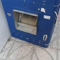 کولرابی