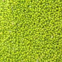 باسلام ۵۰۰کیلو ماش محلی درجه یک