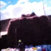 فروش علف