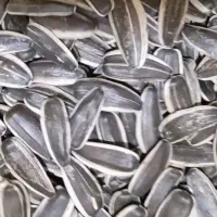 تخمه‌ درجه یک اس ۴۰۰