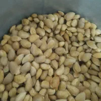 کنجد بادام کنجد|خوردنی و آشامیدنی|گلبهار, شهر جدید گلبهار|دیوار