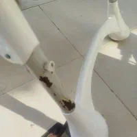 صندلی کودک در حد نو|تخت و صندلی بچه|محمودآباد, |دیوار