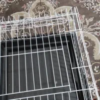 قفس|لوازم جانبی حیوانات|تهران, مقدم|دیوار