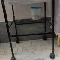 عروس هلندی بالغ|پرنده|تهران, بهارستان|دیوار