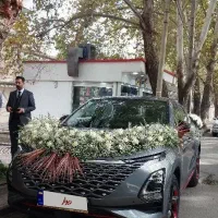 ماشین شاسی بلند عروسی